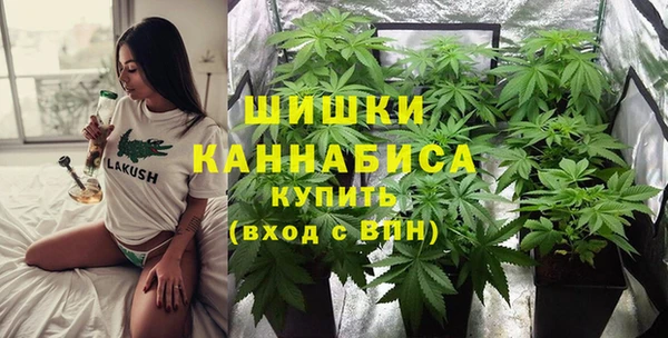 СК Кукмор