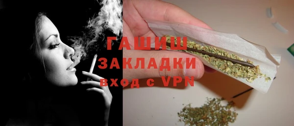 сатива Коряжма