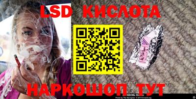 шишки Заволжье