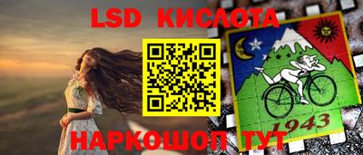 шишки Заволжье