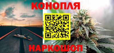 шишки Заволжье