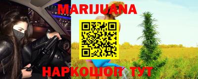 шишки Заволжье
