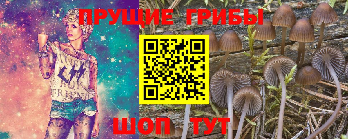 Галлюциногенные грибы прущие грибы  Вход с VPN  Лангепас 